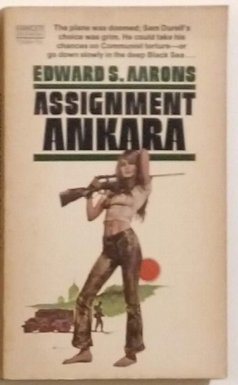 Image for Sam Durell #15: Assignment Ankara